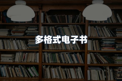 多格式电子书